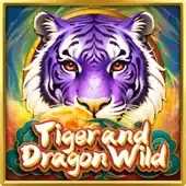 Tiger and Dragon Wild game cover